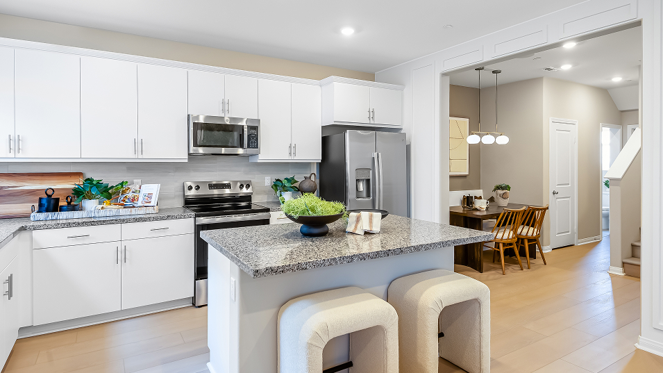 061225 Runway Renaissance Res1 Kitchen 6of6 F1