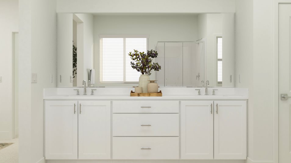 Owner's Bath