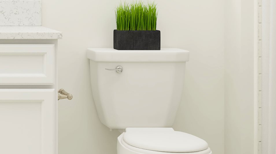 Elongated Commode