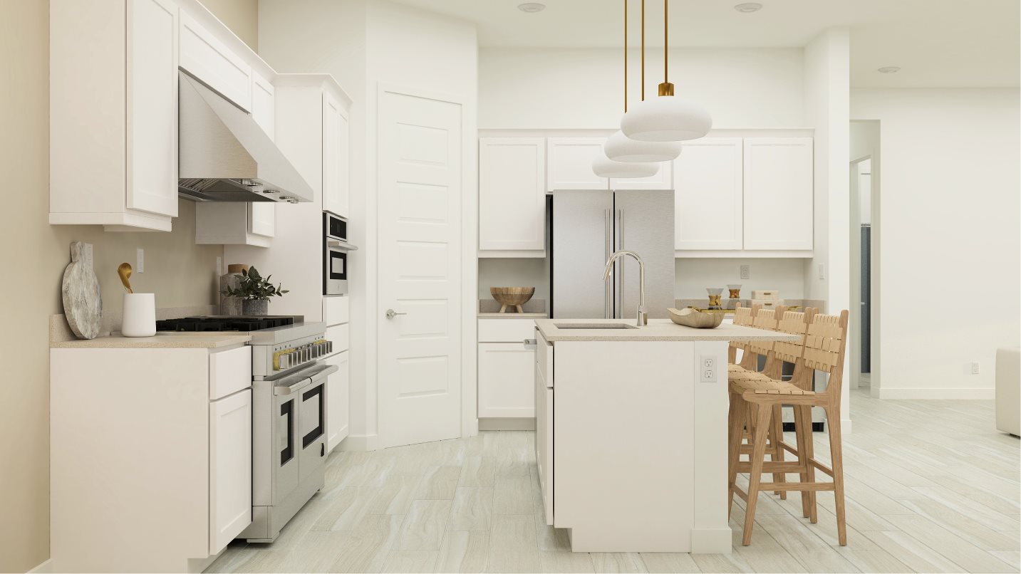 Evolution kitchen
