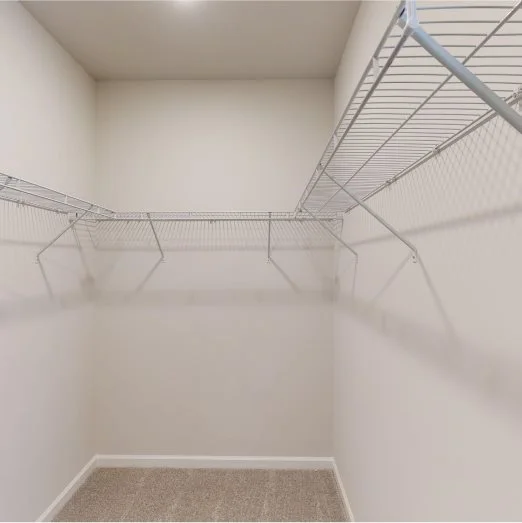 Owners Walk in Closet