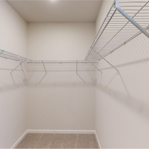 Owners Walk in Closet