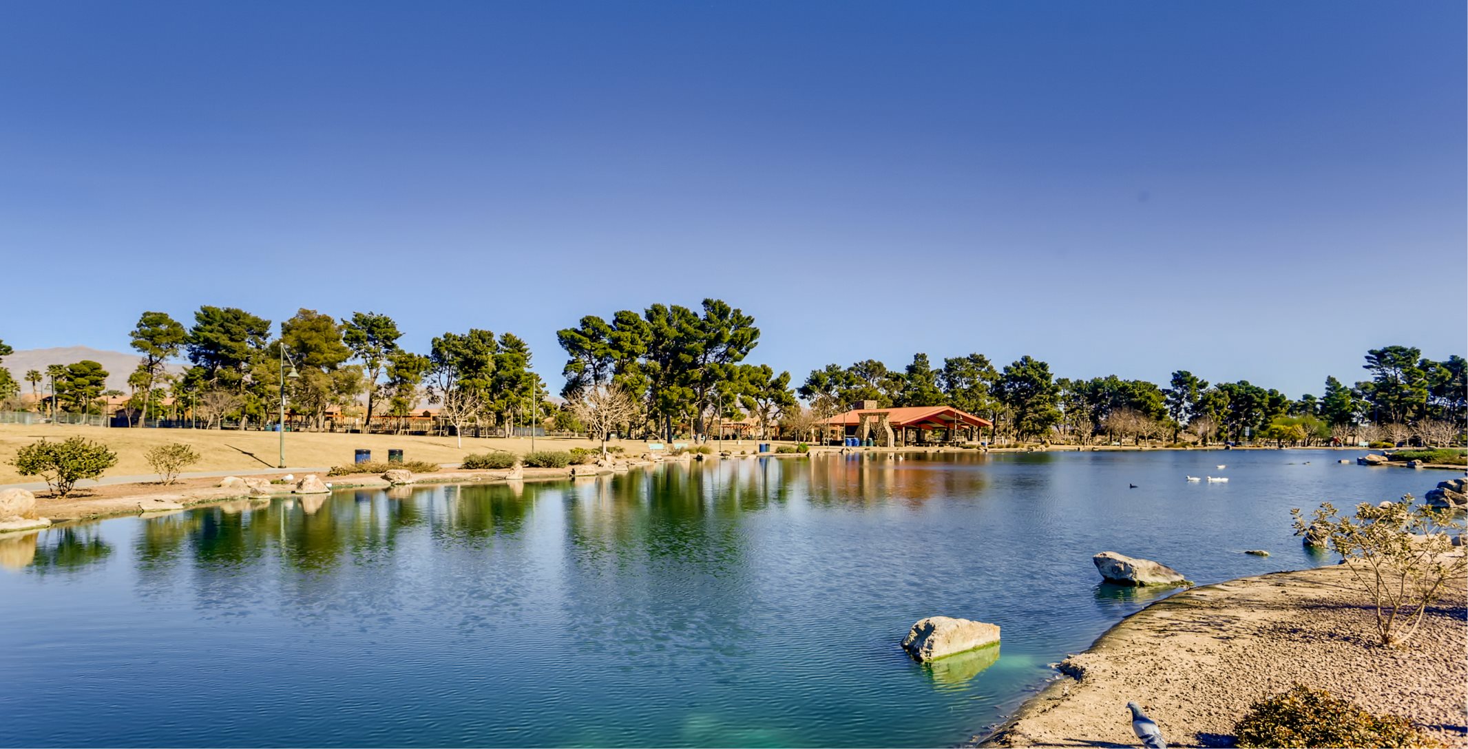 Craig Ranch Park