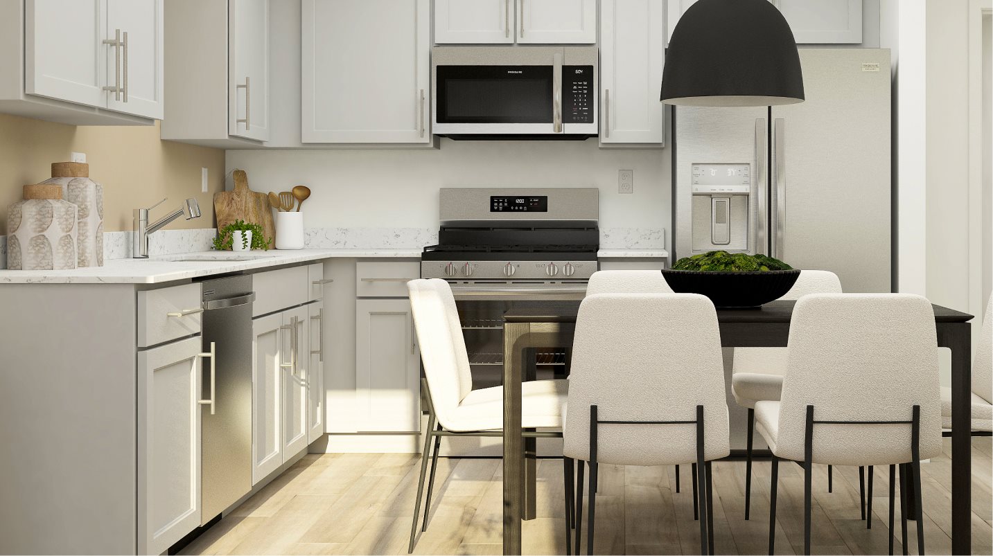 Stainless Steel Kitchen Appliances