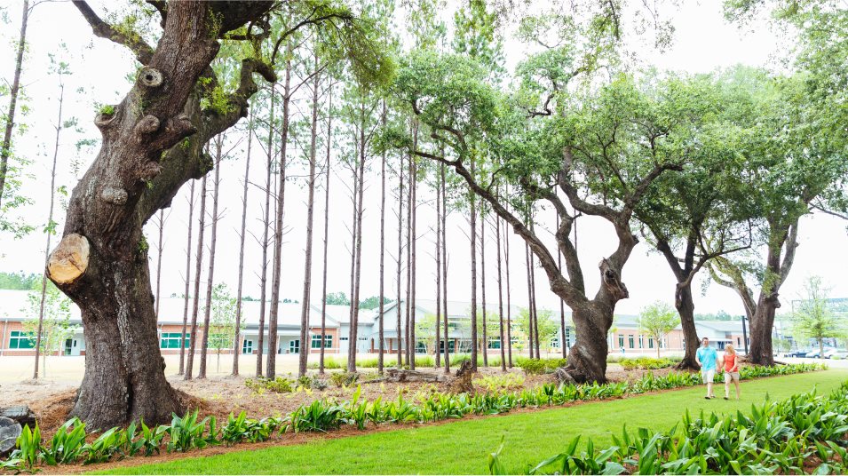 Park