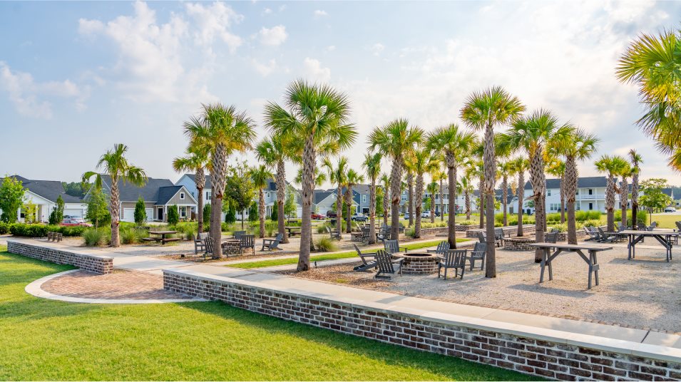 picnic area