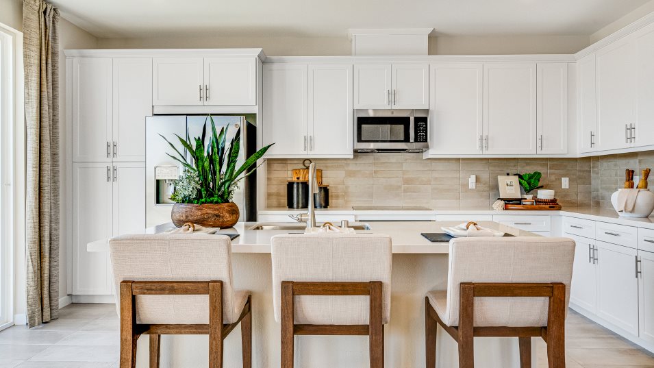 Residence 5 Kitchen