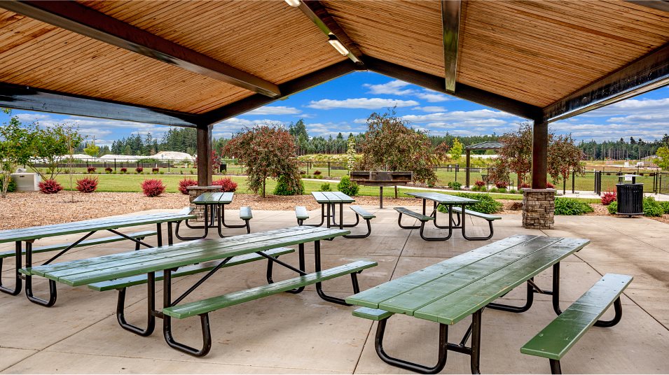 Butternut Creek picnic area amenity
