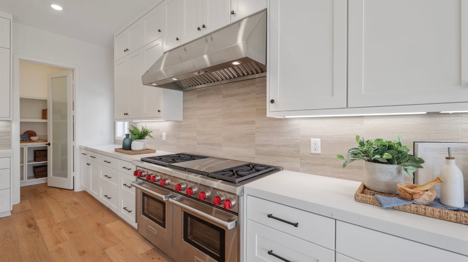 Gas range