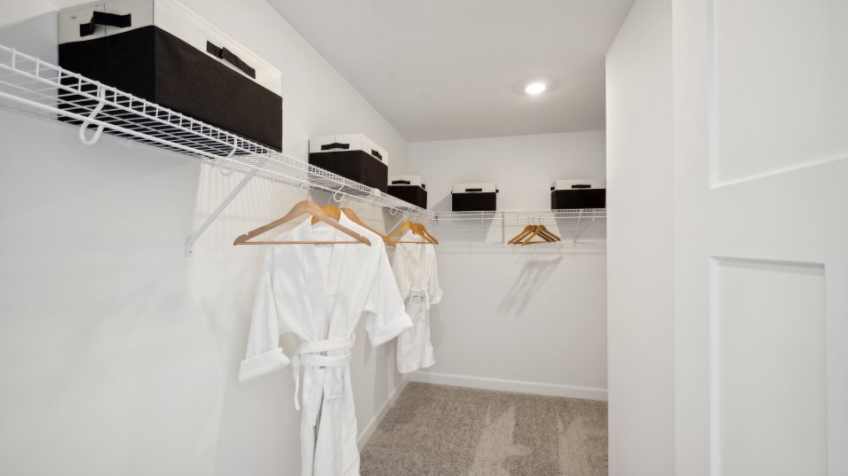 Burnham Owners Walk in Closet