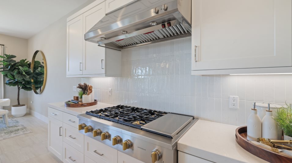 Rangetop and hood