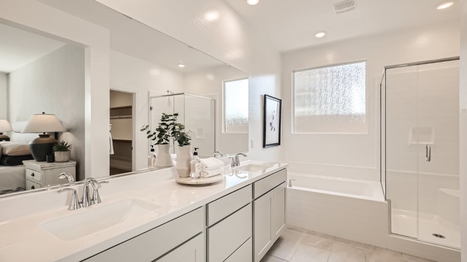Evan Owner's Suite