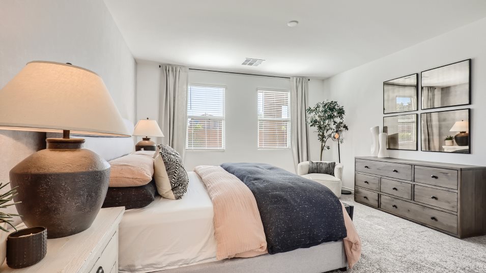 Evan Owner's Suite