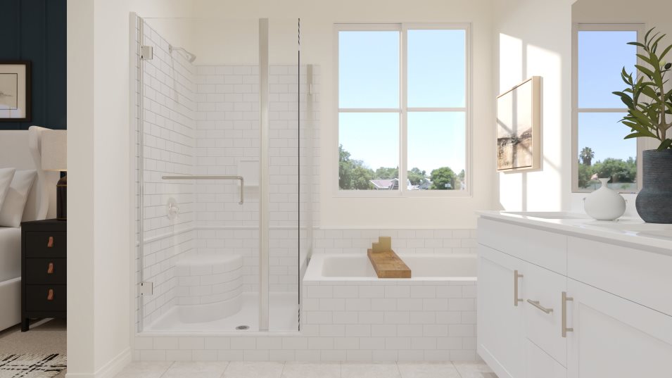 Owner's bathroom tub and sink