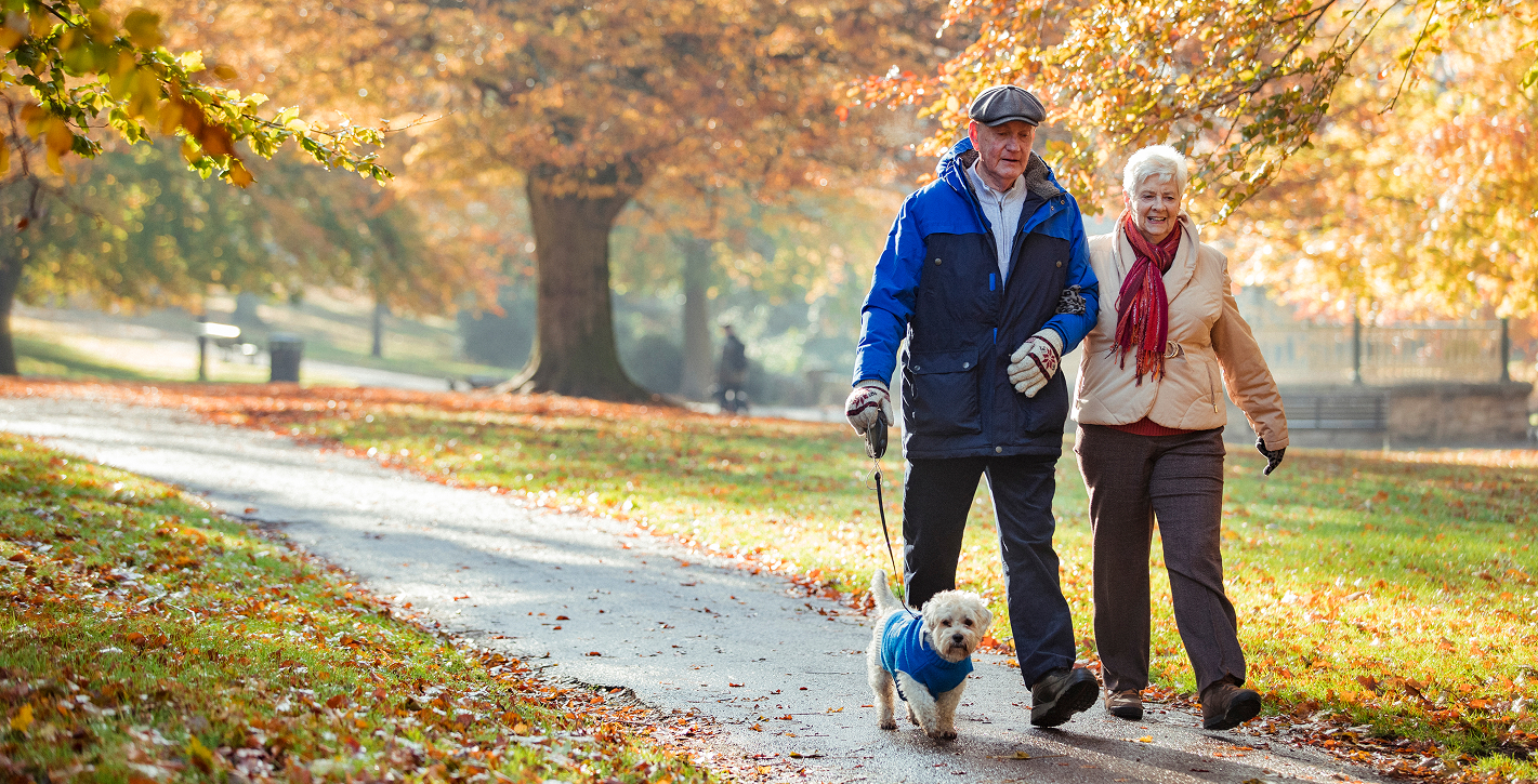 N Pic Active Adult Couple Outdoors Walking Dog Autumn