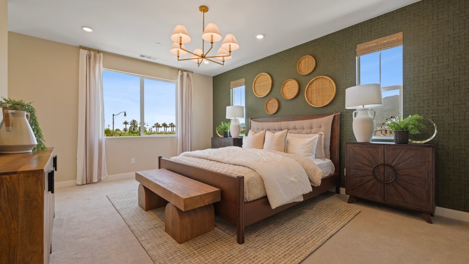 Olive 2X Owner's Suite