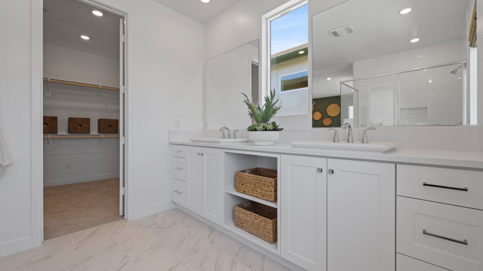 Olive 2X Owner's Suite