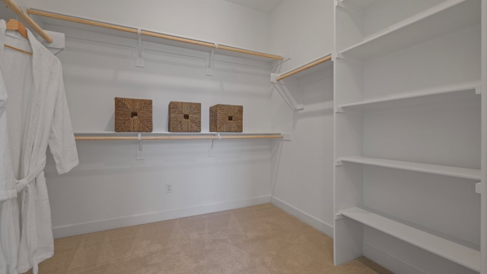 Olive 2X Owner's Suite