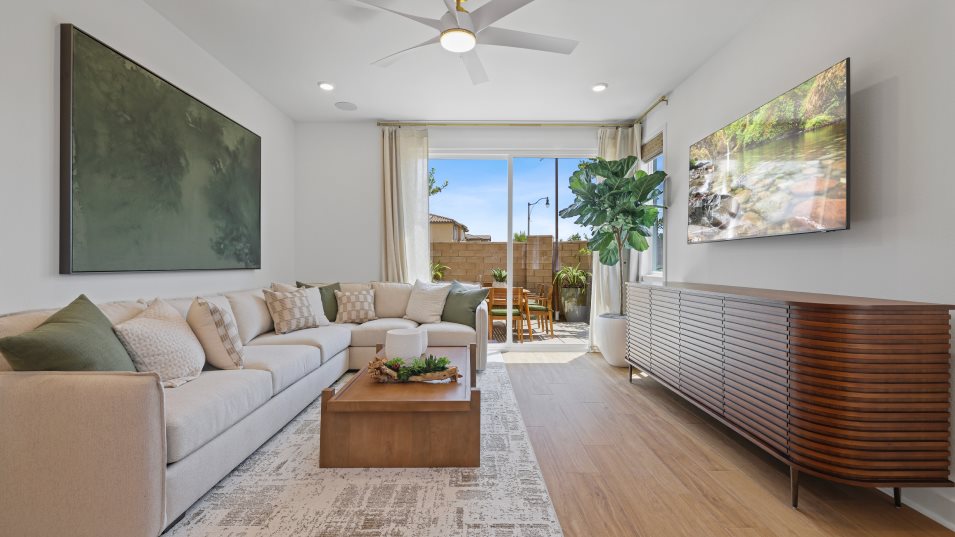 Olive 2X Family Room