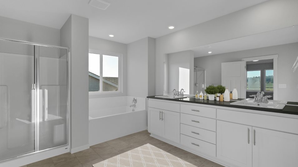 Owner's Bathroom