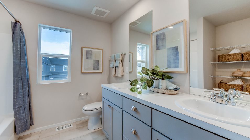 Stevenson 3car bathroom 2 vanity