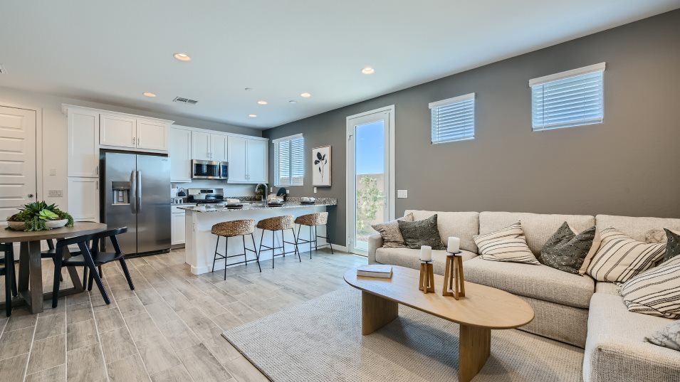 Revolution Next Gen Suite