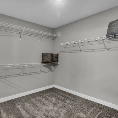 Owners Walk in Closet