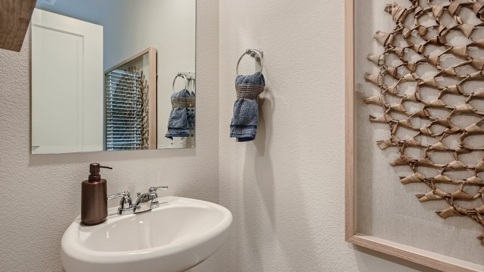 Powder room pedestal sink