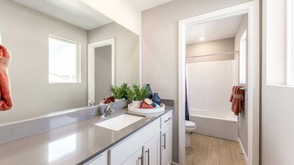 Pinnacle Bathroom 2