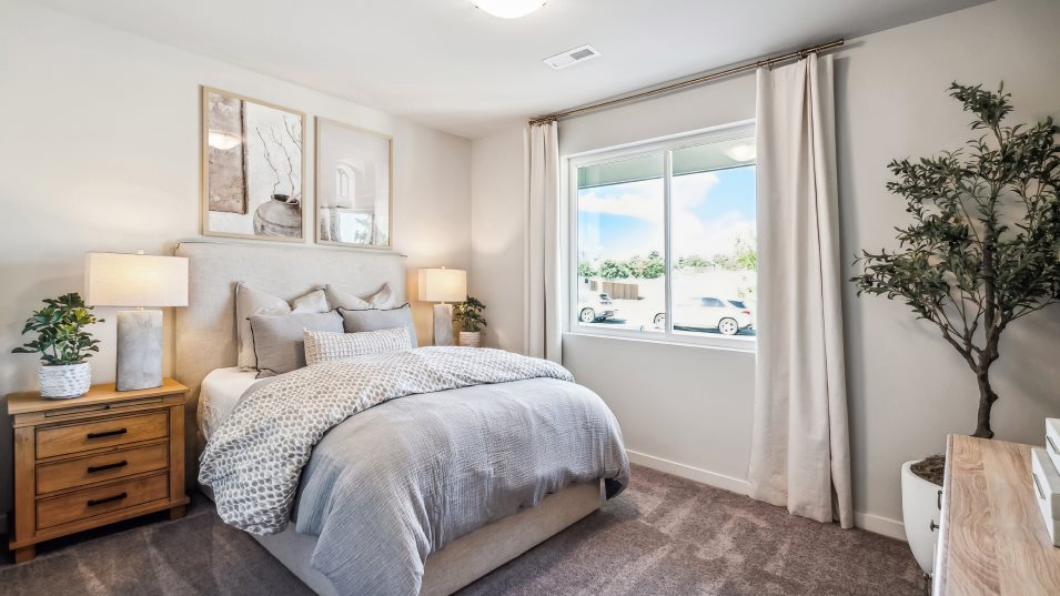 Leverich Next Gen Suite