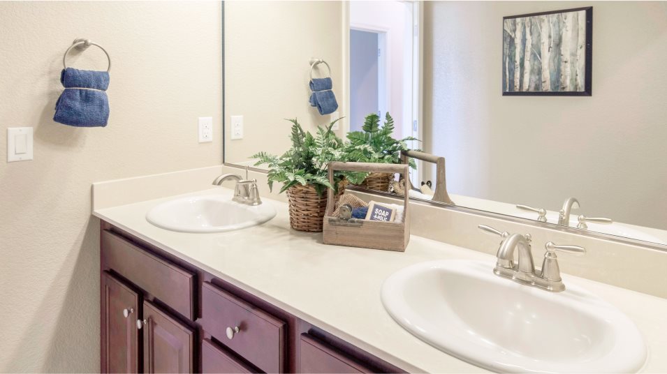 Pele at Pioneer Meadows The Bolero Sink