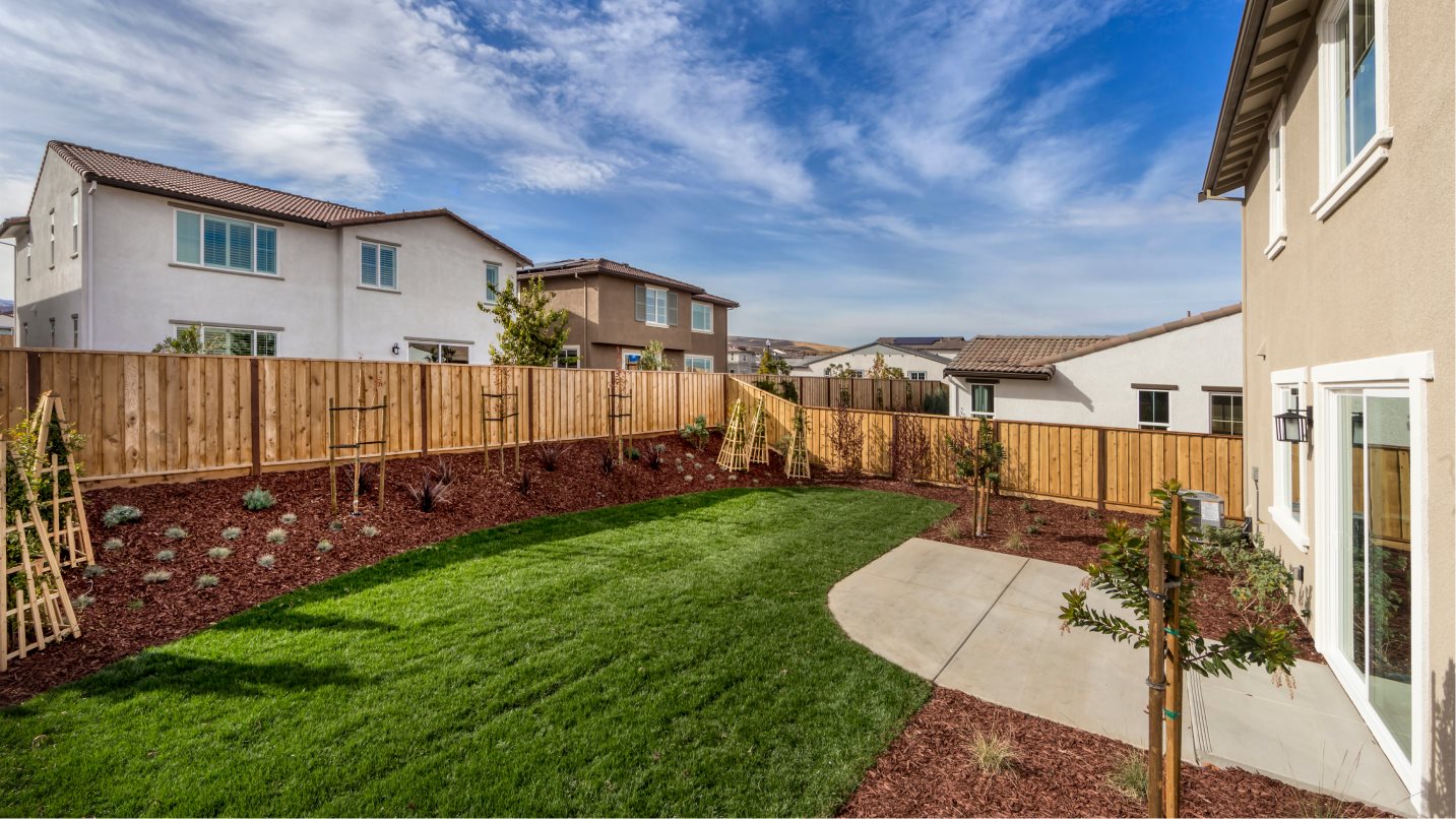 Exterior backyard