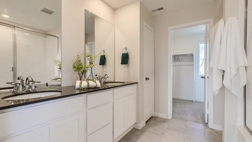 Visage Owner's Suite