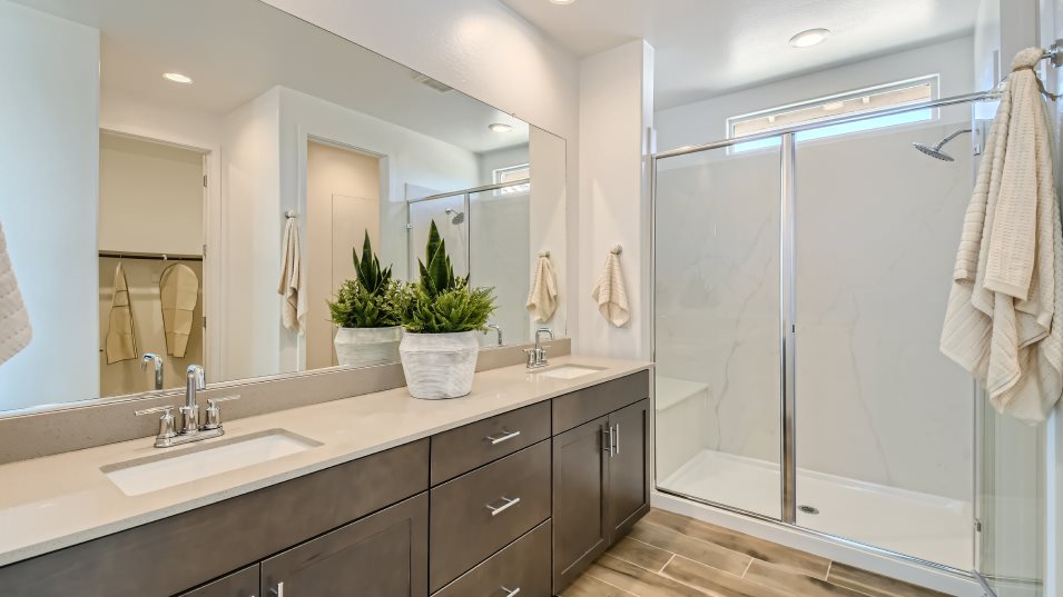 Owners bathroom