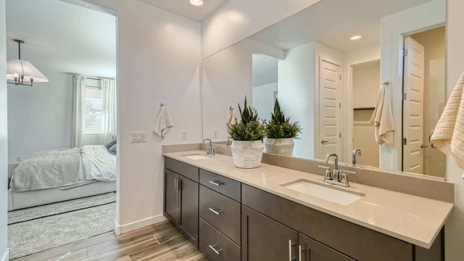 Owners bathroom