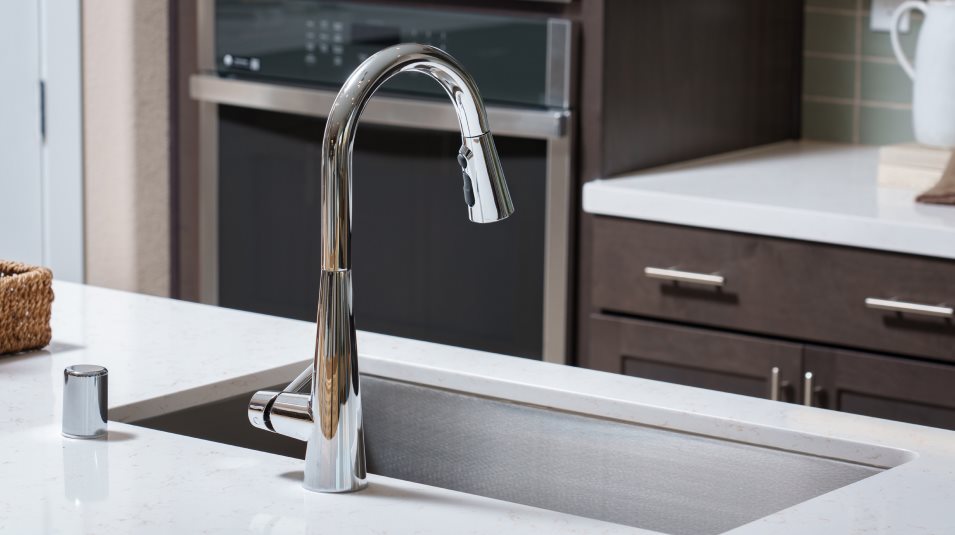 Sleek chrome pull-out spray faucet