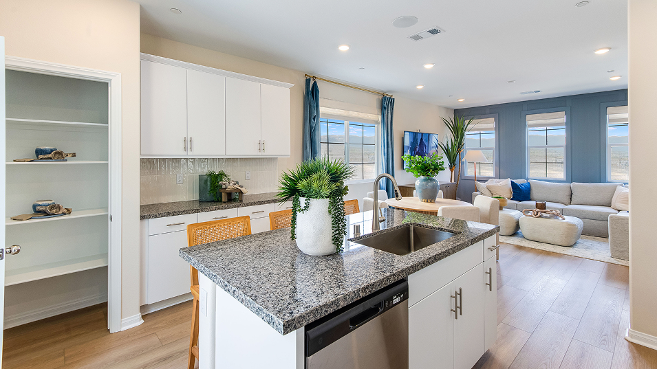 Runway Renaissance Res3 Kitchen 3of5 F1