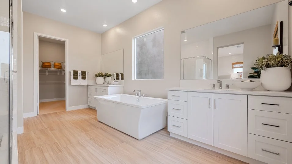 Owner's bathroom