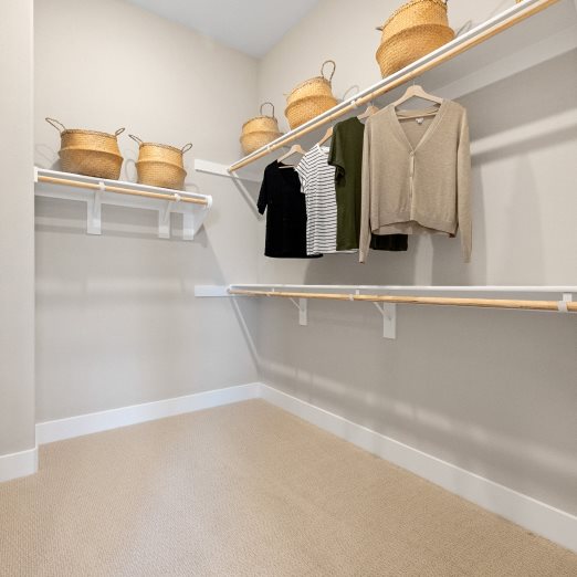 Owner's walk in closet interior