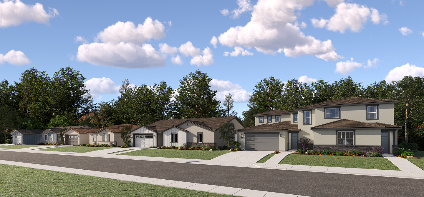 Starlight East Ridge Streetscape
