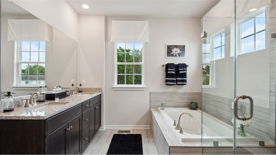 Columbia Basement Owners Bathroom