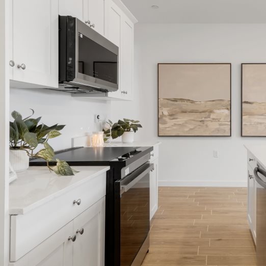 Kitchen microwave and stove