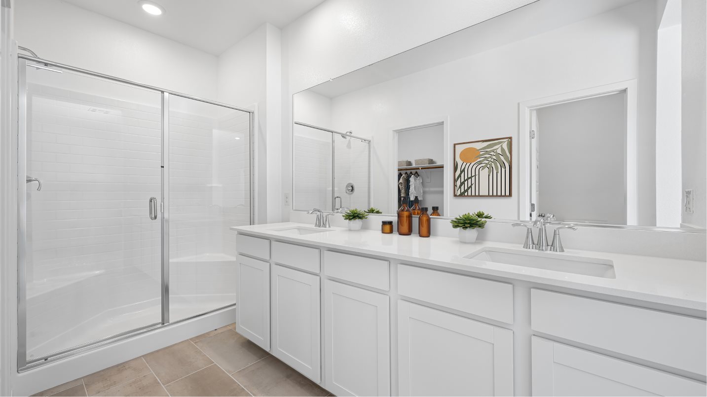 Owner's Bathroom