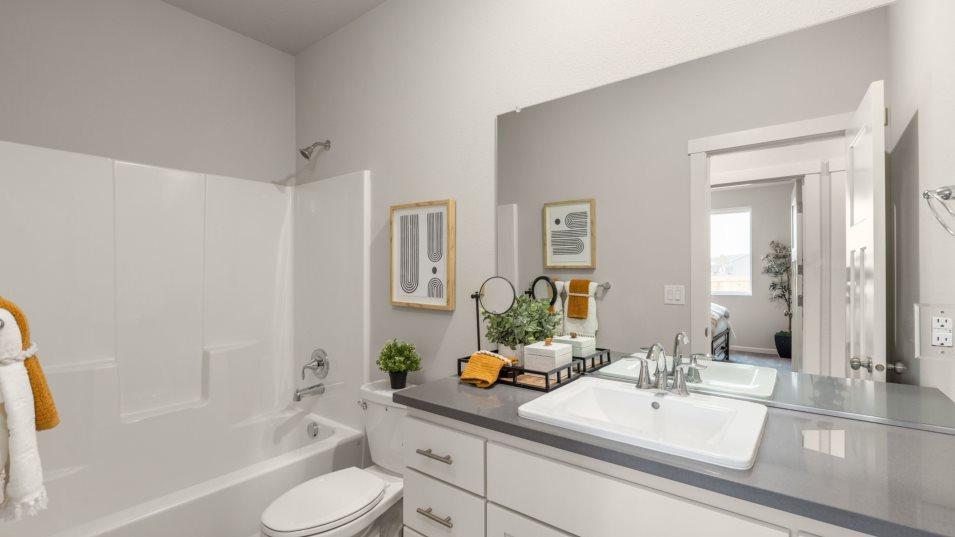 Trenton Bathroom 2