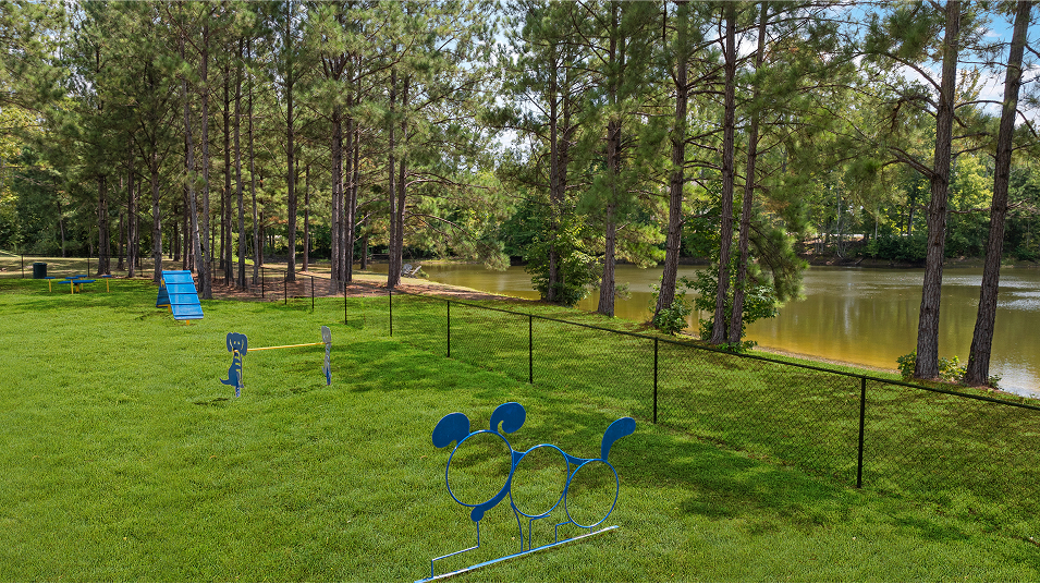 Twelve Parks Aerial Amenity Dog Park 060625