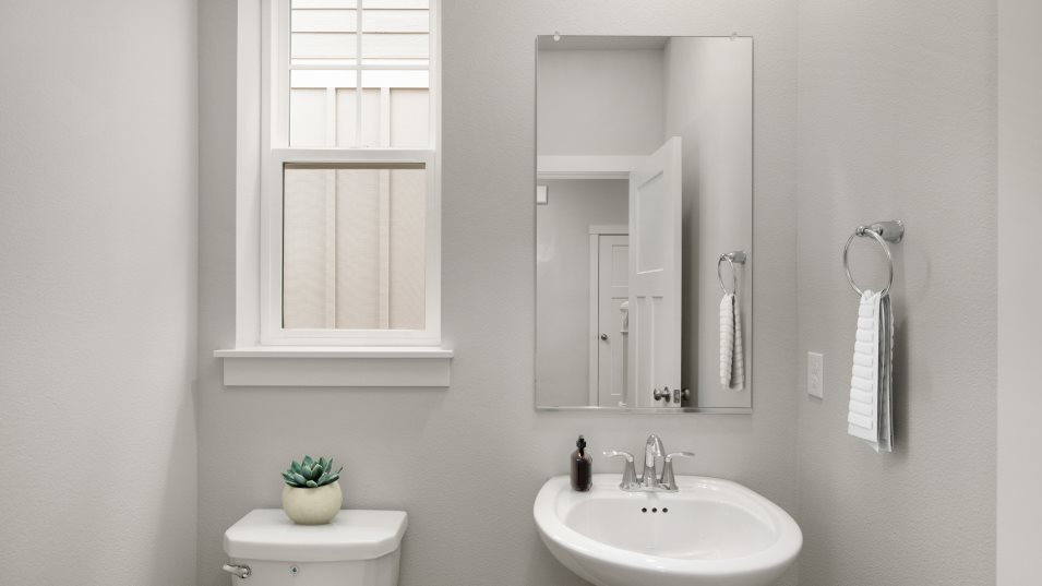 Pecan Powder Room