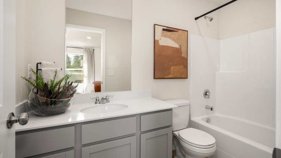 Aldrin Owner's Suite Bathroom