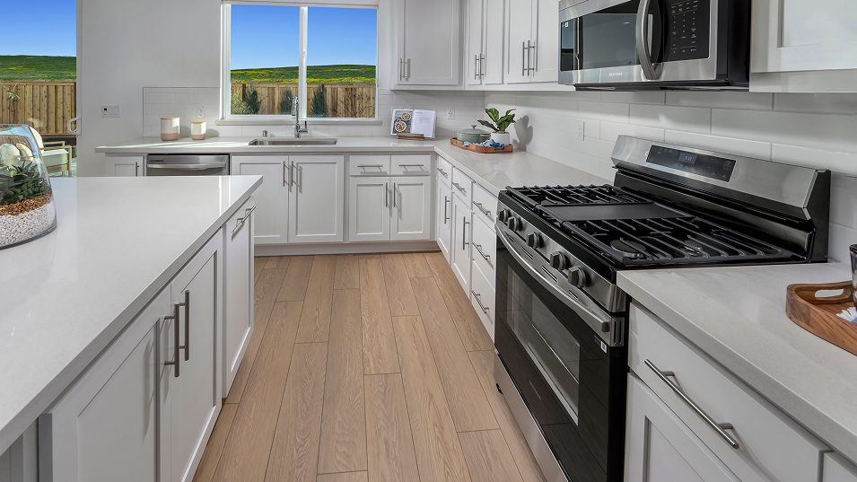 Emerald One Lake Res2 Kitchen 2of2 F1
