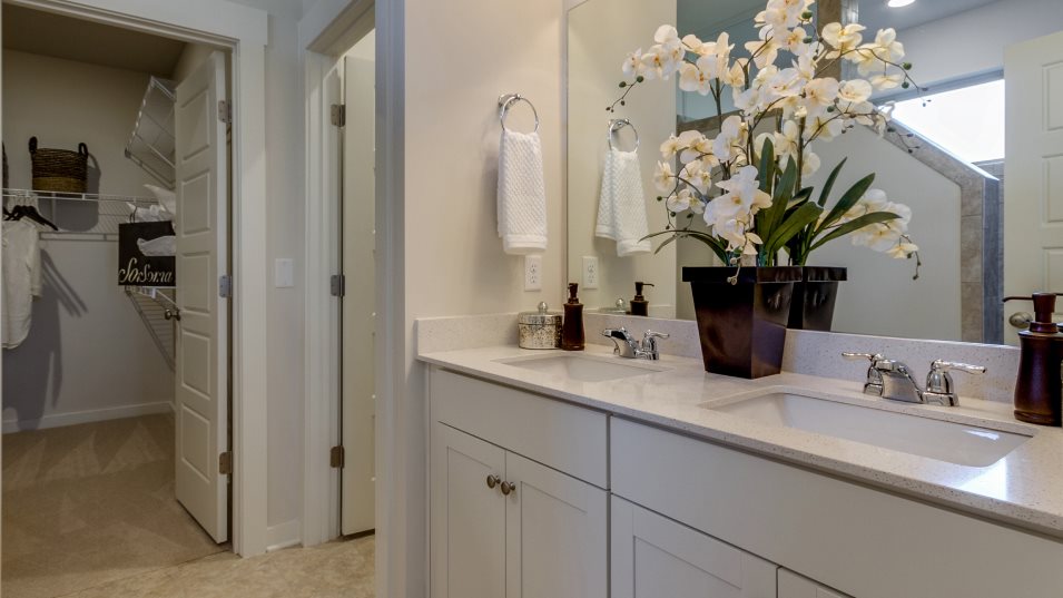 Vineyard-Grove Classic Collection Rosemary Owner’s Suite