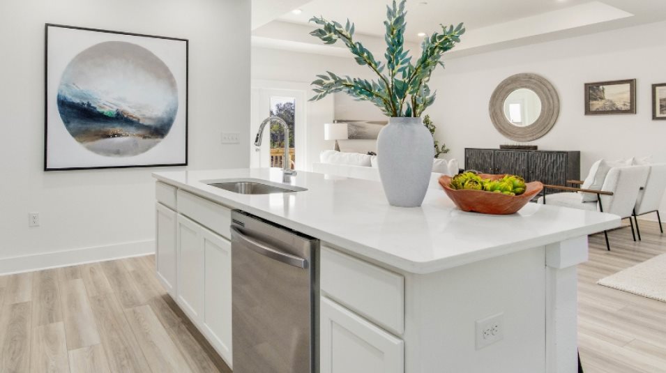 Sleek countertops 